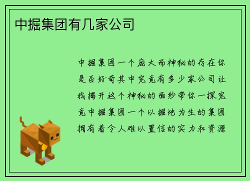 中掘集团有几家公司