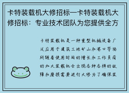 卡特装载机大修招标—卡特装载机大修招标：专业技术团队为您提供全方位服务